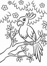 Parrot Coloring Colorear Perroquet Branche Flowered Tulamama Dessins Pinte Bonitos Dory sketch template