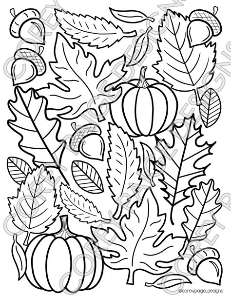 seasons coloring sheet pack