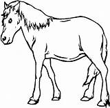 Kuda Mewarnai Cheval Animaux 2299 sketch template