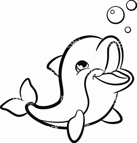 baby animal coloring pictures   dolphin coloring pages animal