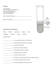 blood drawing  coloring biology worksheet  printable