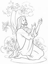 Jesus Coloring Gethsemane Garden Prayer Cartoon Vector Dreamstime sketch template