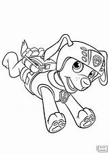 Patrol Paw Coloring Pages Zuma Pdf Backpack Gear Printable Scuba Chase Ryder Supercoloring Color Drawing Print School sketch template