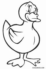 Duck Coloring Pages Ducks Donald Baby Realistic Printable Color Print Cool2bkids Kids Getcolorings Pictur sketch template