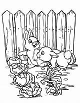 Coloring Pages Gardening Garden Printable Sheets Vegetable Kids Color Book Rabbits Print Spring Cute Flower Bestcoloringpagesforkids Bible Bunnies Popular Date sketch template