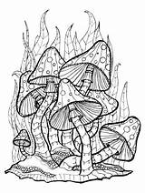 Hongos Psicodelicos Amanita Mushrooms Freepik Background Malvorlage Amanite Drawing Alena Kaz Grabado Bosque Champignons Setas Vectores sketch template