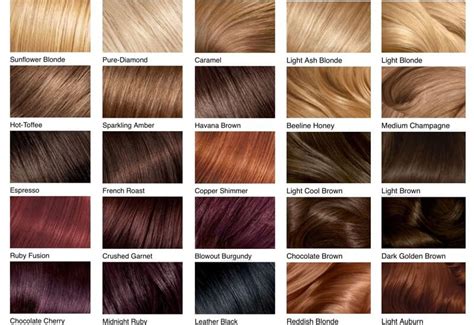 hair color chart shades  blonde brunette red black