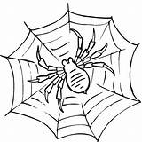 Spider Coloring Pages Web Printable Kids sketch template