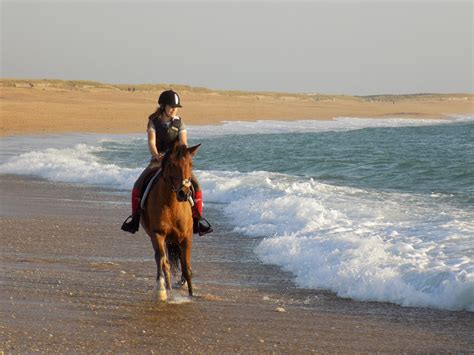 monter  cheval sur la plage memento du pratiquant