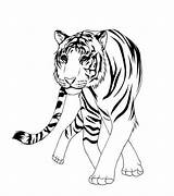 Tiger Coloring Pages Carabao Asian Chinese Siberian Drawing Printable Getcolorings Animals Getdrawings Comments Color sketch template