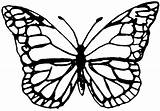 Monarch Shrink Mariposa Clipartmag Again sketch template