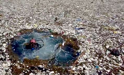 great pacific garbage patch  garbage island  big   usa
