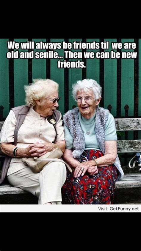 friends friendship humor  lady humor friendship quotes funny