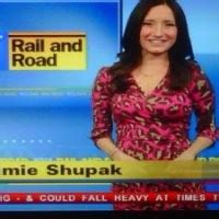 jamie stelter traffic anchor ny news linkedin