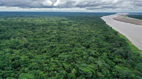 world meets protected area target  quality concern