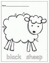 Bear Eric Carle Sheep sketch template