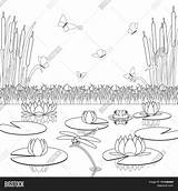 Coloring Ponds Pages Search Pond Again Bar Case Looking Don Print Use Find sketch template