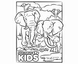 Elephants Sandiegozoo Watering sketch template