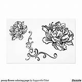 Peony Coloring Getcolorings Pages Flower Color sketch template