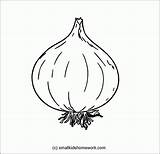 Onion Coloring Onions Pages Clipart Popular sketch template