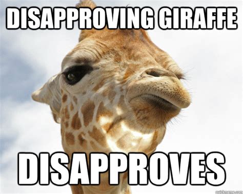 disapproving giraffe memes quickmeme