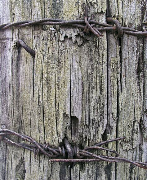 Barbed Wire Stapled Onto Post Rustic Fence Barbed Wire Fence