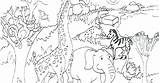 Savanna African Coloring Pages Getdrawings Color Colo Getcolorings Printable sketch template