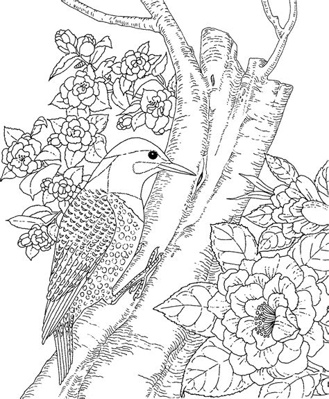nature animals coloring pages