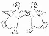 Dancing Ducks Animals Two Pages2color Pages Cookie Copyright sketch template