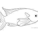 rainbow fish coloring pages  printable coloring pages