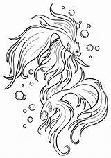 Betta Coloring Fish Designlooter Pages sketch template