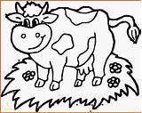 Cow Coloring Pages Head Ausmalbilder Jumping Moon Over Animal Farm Kostenlos Gut Sonnensystem Crazy Animals Color Printable Divyajanani Cows Getcolorings sketch template