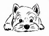 West Terrier Highland Westie Westies Westi Kolorowanki Pencil sketch template