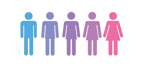 gender diversity and governance waikato business news