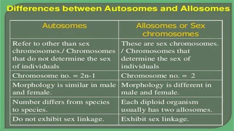 Difference Between Autosomes And Sex Chromosomes Youtube