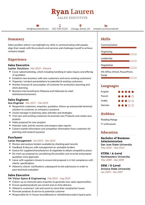 executive resume examples    samples examples format