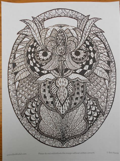 zentangle owl zentangle owl doodle inspiration zentangle