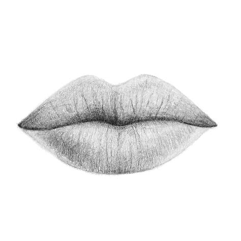 draw realistic lips step  step    ways arteza