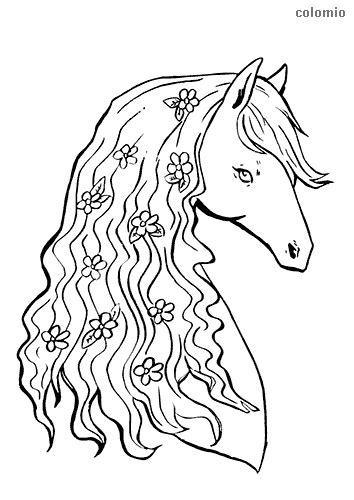 animals coloring pages  printable animals coloring sheets