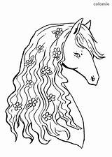 Horse Printable Coloring Pages Horses Kids Flowers Head Mane Sheets sketch template