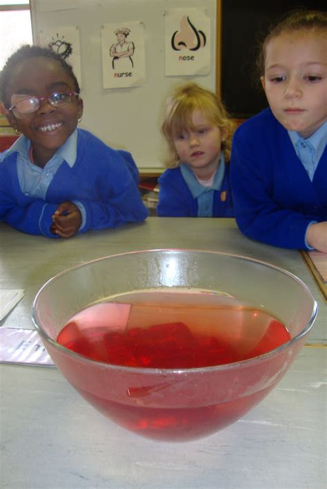 science projects making jelly  junior infants