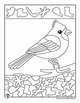 Cardinal Winter Preschool Getdrawings sketch template