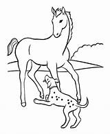 Cavalo Cachorro Colorir sketch template