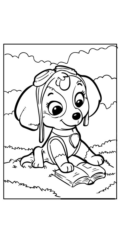 summer paw patrol rubble  skye coloring page  printable