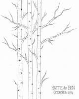 Aspen Tree Aspens Drawing Coloring Sketch Designlooter Guest Etsy Book Wedding 1500px 8kb 1203 Simple Paintingvalley Small sketch template