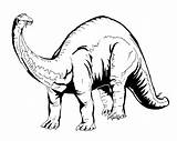 Dinosaur Outline Cliparts Coloring Computer Designs Use sketch template