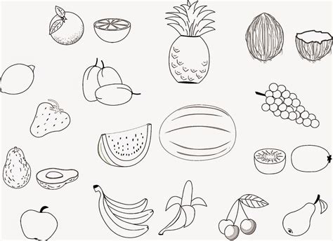 fruit coloring pages  getcoloringscom  printable colorings pages  print  color