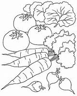 Verduras Vegetales Vegetais Recortar Imagui Verdura Recortes Legumes Stardancer sketch template