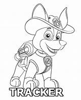 Coloring Patrol Paw Tracker Print Topcoloringpages sketch template