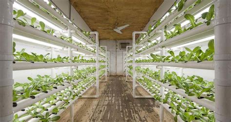 foot shipping container    grow food